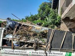 Demolition Debris Removal in Arcadia, FL